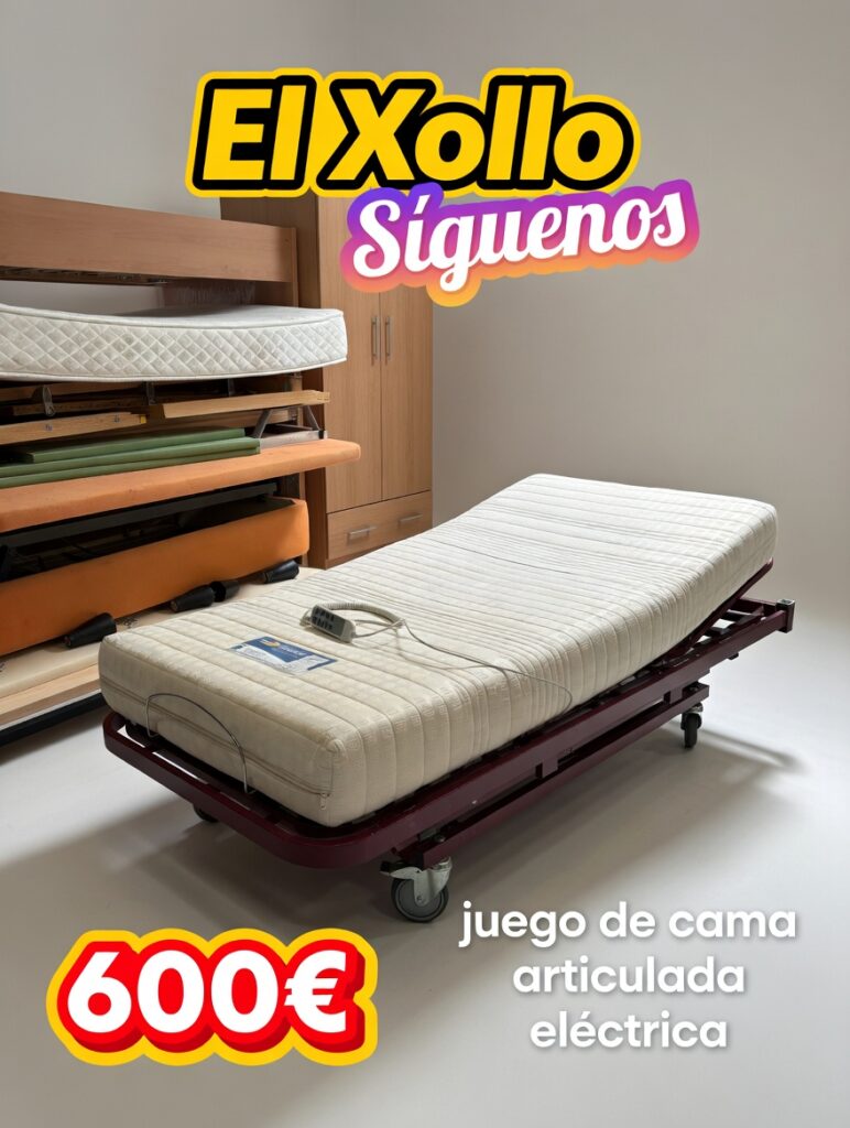 juego de cama articulada eléctrica