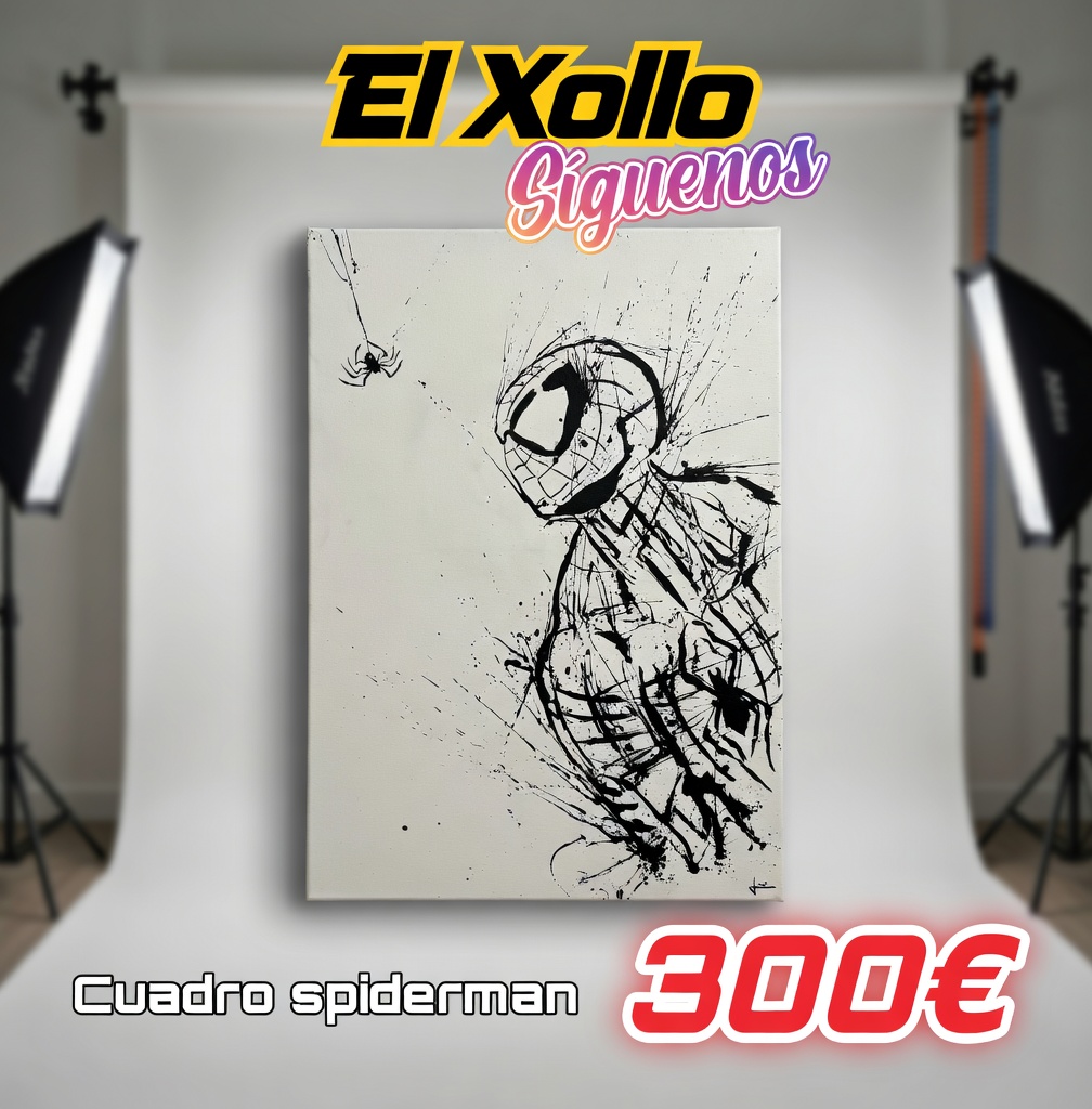 Cuadro spiderman