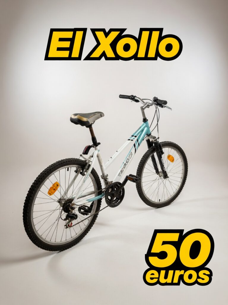 Bicicletas